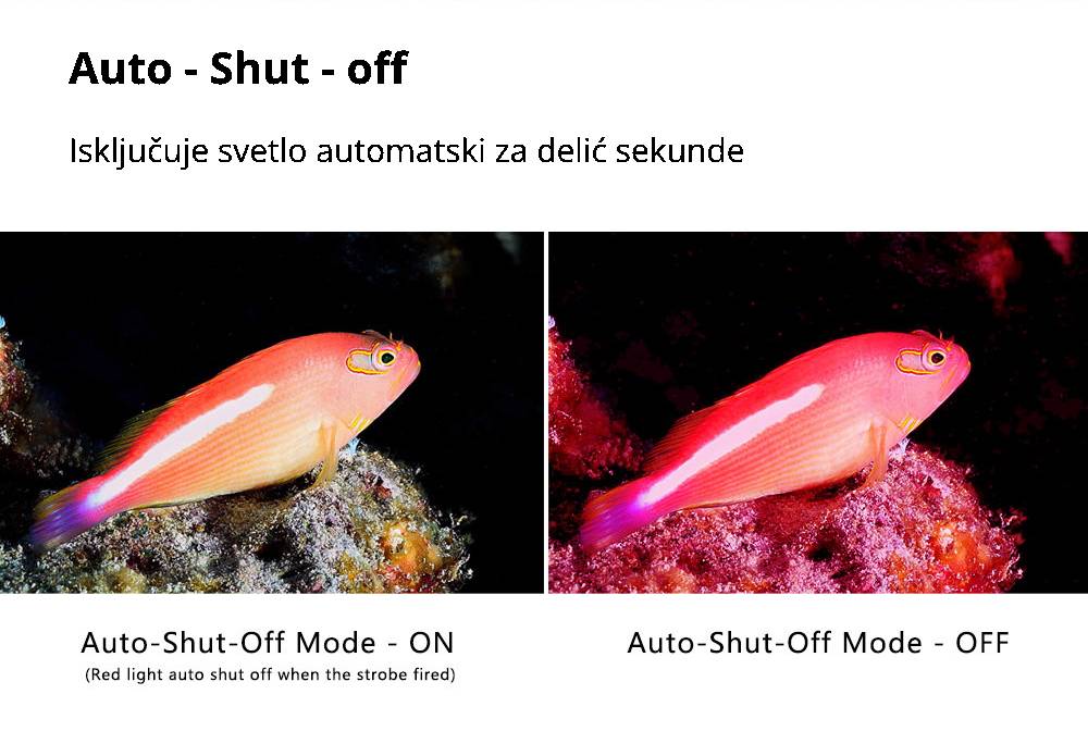 auto shut off